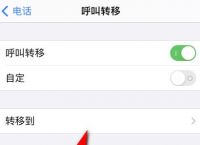 [苹果手机飞机中文版怎么设置]iphone飞机怎么弄成中文版