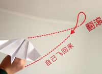 [纸飞机和飞机是一个软件吗]有什么软件跟纸飞机是一样的