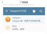 telegaem中文包[Telegram 汉化包]