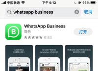 whatsappbussiness苹果下载-whatsapp for iphone download