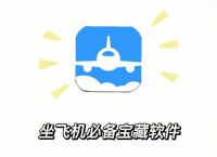 包含飞机软件中文版怎么设置的词条