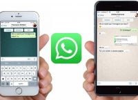 whatsapp安卓手机下载2020最新版本-whatsapp安卓手机版下载v22020624免费下载
