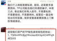 TP钱包usdt提现人民币[tp钱包usdt怎么提到交易所]