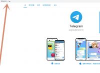 纸飞机app苹果中文版-纸飞机中文版苹果手机下载