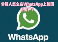 whatsapp注册方法-whatsapp国内注册方法