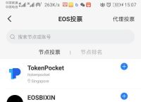 Tokenpocket下载手机app的简单介绍