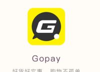 gopay支付平台可靠吗-gopay支付平台怎么提现