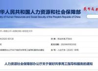 上海个人所得税客户端下载,上海个人所得税申报软件下载