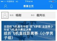 纸飞机app中文怎么换[纸飞机app怎么翻译成中文]