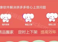 拼多多token购买网站、拼多多token登录器从哪下载