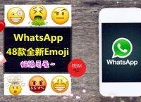 whatsapp下载安装安卓手机版、whatsapp安卓手机版下载v22020624免费下载