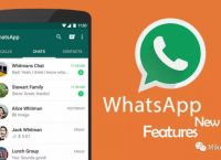 whatsapp安卓版下载最新版本下载、whatsapp安卓手机版下载v22020624免费下载