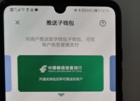 usdt怎么转账给别人、usdt怎么转账给别人图片