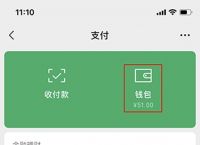 gopay提现会被冻结吗、gopay钱包能把钱转出来吗