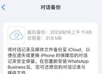 包含苹果怎么下whatsapp的词条