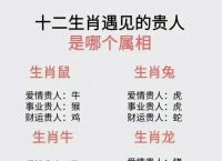 今期生肖有学问是什么生肖呢、今期生肖有学问是什么生肖呢图片