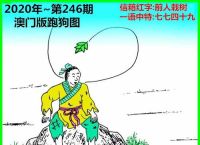 2020年8月24澳门跑狗图、2020澳门跑狗图笔记278期