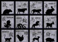 小题大做打一生肖成语、小题大做是什么生肖数字