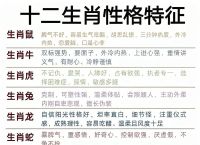 “身娇肉贵，何苦犯难？无事生非找麻烦”打一个生肖动物的简单介绍