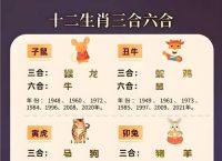 今期生肖定龙蛇解正确生肖、今期生肖定龙羊两字让人呼不肖是什么生肖