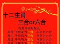 今期二四合数开最佳答案、今期二四合数开,三二喜逢财神到的动物打一肖