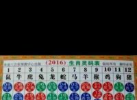 今期生肖七字开什么意思、今期生肖六七开是什么意思