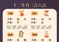 生活代表什么生肖、12生肖2025年每月运势
