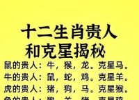 预示成功打一生肖、预示成功是什么生肖