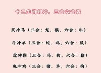 今期特转三六到是什么生肖动物的简单介绍