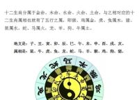 最长寿的生肖是指什么生肖、最长寿的生肖是指什么生肖和动物