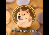 狗狗币值得长期持有吗、狗狗币值得长期持有吗知乎