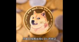 狗狗币值得长期持有吗、狗狗币值得长期持有吗知乎