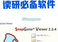 snapchat电脑版怎么下的简单介绍