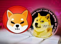 柴犬币是什么币种、柴犬币是什么币种图片