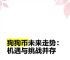 2022狗狗币最新消息、2021年狗狗币最新走势