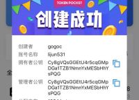 包含tokenpocket怎么把钱转到银行卡的词条