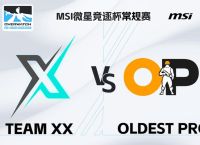 team+pro下载安卓版、teamplus pro下载