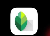 snapseed官方正版、snapseed官方正版入口手机版