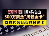 TRUMP币行情、trump币行情美元