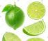 limes是什么意思、limes是什么意思翻译