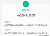 usdt钱包app下载安装[usdt钱包中文苹果版官方下载]