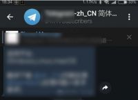 包含手机telegeram怎么设置中文的词条