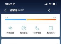 飞机app怎么设置中文[飞机app怎么设置中文模式]