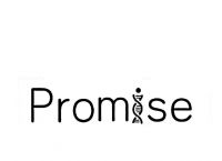 [promise]promise sb to do