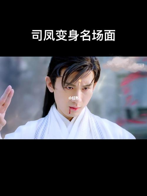 玄机和司凤玄机变成大将军、玄机什么时候知道自己喜欢司凤