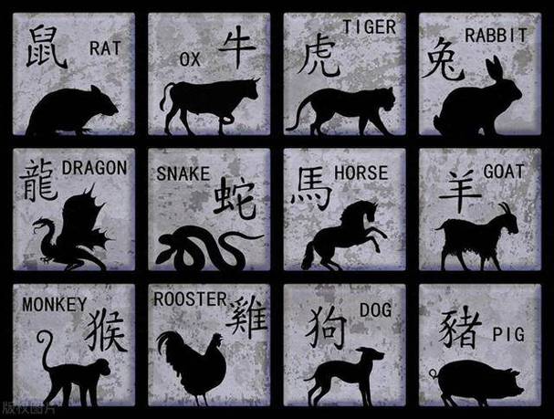 小题大做打一生肖成语、小题大做是什么生肖数字