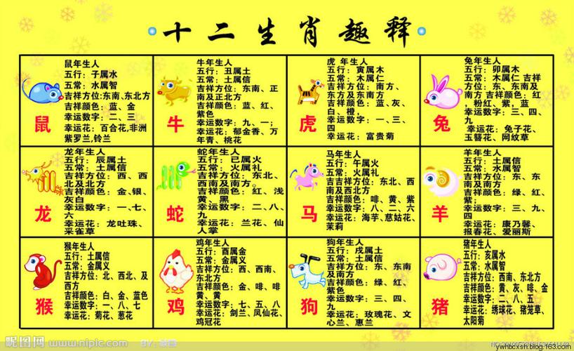 今期生肖北方找打一动物、今期生肖在南方是什么意思