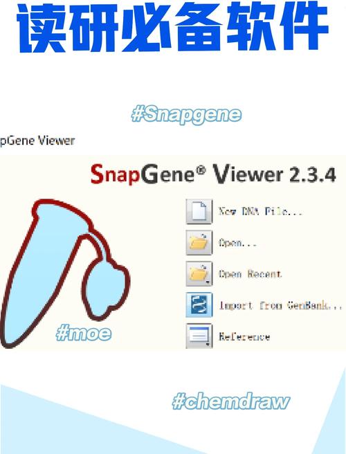snapchat电脑版怎么下的简单介绍