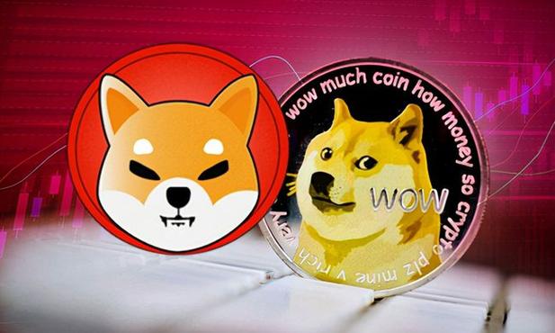 柴犬币是什么币种、柴犬币是什么币种图片
