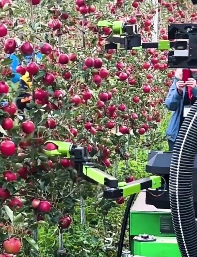摘苹果机、摘苹果神器多少钱一个